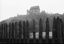 Zamek Świny (fot. 2) [Dokument ikonograficzny]