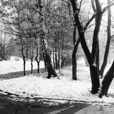 Jelenia Góra - Park na Wzgórzu Kościuszki [Dokument ikonograficzny]