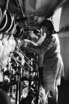 Mysłakowice - Zakłady Lniarskie Orzeł (fot. 6) [Dokument ikonograficzny]