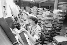 Jelenia Góra - Zakłady Farmaceutyczne Polfa (fot. 3) [Dokument ikonograficzny]