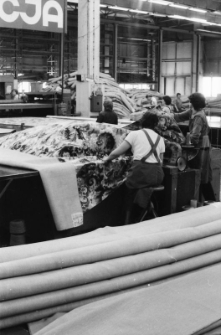 Kowary - Fabryka Dywanów (fot. 1) [Dokument ikonograficzny]