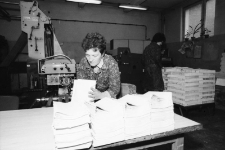 Jelenia Góra - drukarnia przy ulicy Groszowej (fot. 1) [Dokument ikonograficzny]