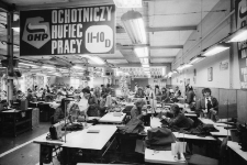 Ochotniczy Hufiec Pracy (fot. 1) [Dokument ikonograficzny]