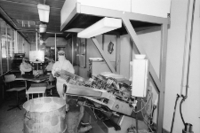 Jelenia Góra - Zakłady Farmaceutyczne Polfa (fot. 8) [Dokument ikonograficzny]