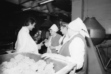 Jelenia Góra - Zakłady Farmaceutyczne Polfa (fot. 9) [Dokument ikonograficzny]