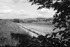 Jelenia Góra - Celwiskoza (fot. 3) [Dokument ikonograficzny]