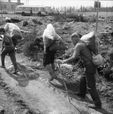 Karkonosze - sprzątanie szlak&oacute;w turystycznych (fot. 2) [Dokument ikonograficzny]