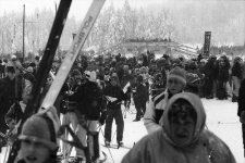 V Harcerski Bieg Narciarski w Jakuszycach (fot. 3) [Dokument ikonograficzny]