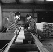 Jelenia G&oacute;ra - Zakłady Przemysłu Drzewnego (fot. 2) [Dokument ikonograficzny]