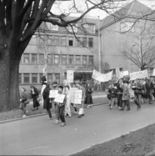 Jelenia G&oacute;ra - "topienie Celwiskozy" (fot. 1) [Dokument ikonograficzny]