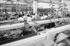 Jelenia Góra - Simet (fot. 7) [Dokument ikonograficzny]