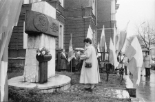 Jelenia Góra - obchody Święta 3 Maja (fot. 1) [Dokument ikonograficzny]