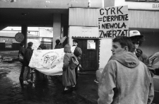 Jelenia Góra - protest w obronie zwierząt cyrkowych (fot. 1) [Dokument ikonograficzny]