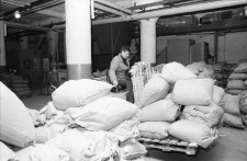 Jelenia Góra - Jelchem (fot. 3) [Dokument ikonograficzny]