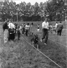Jelenia G&oacute;ra - Karkonoska Wystawa Ps&oacute;w Rasowych (fot. 3) [Dokument ikonograficzny]