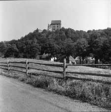 Zamek Świny (fot. 3) [Dokument ikonograficzny]