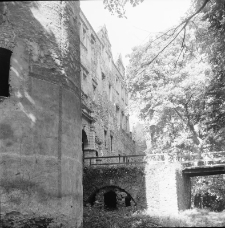 Zamek Świny (fot. 4) [Dokument ikonograficzny]