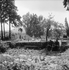 Jelenia Góra - cmentarz komunalny (fot. 1) [Dokument ikonograficzny]