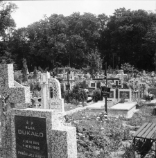 Jelenia Góra - cmentarz komunalny (fot. 2) [Dokument ikonograficzny]