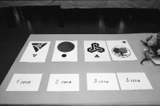 Euroregion Nysa - wybór logo (fot. 5) [Dokument ikonograficzny]