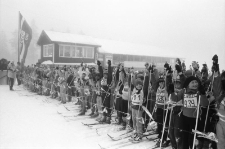 Harcerski Bieg Narciarski w Jakuszycach (fot. 8) [Dokument ikonograficzny]