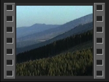 Świeradowskie Spotkania Zespołów Wykonujących Muzykę Dawną [Film]