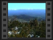 Puchar Samotni im. Waldemara Siemaszki [Film]