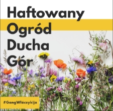 Haftowany Ogród Ducha Gór : autorki wystawy : Elżbieta Gałka, Anna Gałkowska, Magdalena Jabkowska, Dorota Kacprzak, Anna Kurek, Anna Lachowicz, Anna Nikiel - 7.10-30.11.2020 - katalog [Dokument życia społecznego]