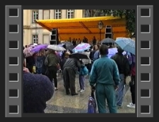 Wystawa Świeżych Grzybów [Film]