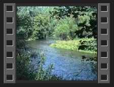 Most kolejowy nad Bobrem [Film]