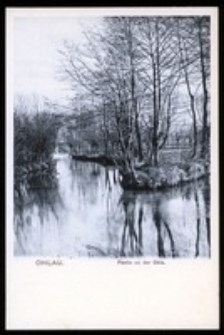 Ohlau - Partie an der Ohle [Dokument ikonograficzny]
