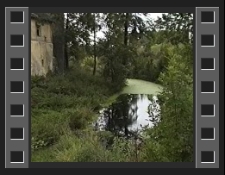 Wieża Rycerska w Siedlęcinie [Film]