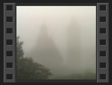 Wang, nowe lwy, mgła [Film]