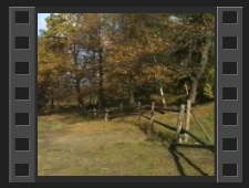 Miedzianka, zapadnięty szyb kopalniany [Film]