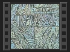 Wystawa poplenerowa tkaniny w Muzeum Okręgowym [Film]