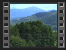 Festiwal Ekologii Neohumanistycznej w Głębocku w 1996 [Film]