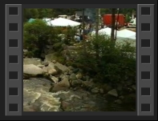 Giełda Piosenki Studenckiej '96. Część 2 : Wolna Grupa Bukowina [Film]