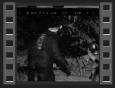 Psie zaprzęgi - wyścig nocny [Film]