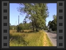 Proszówka - Zamek Gryf [Film]