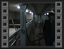 Browar Lwówek [Film]