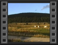 Osada Orle : koncert "Niech gra muzyka" [Film]