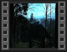 Szklarska Poręba : usuwanie skutków wichury [Film]