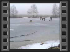 Odławianie stawu spod lodu [Film]