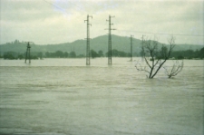 Jelenia Góra : powódź (fot. 8) [Dokument ikonograficzny]