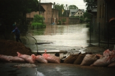 Jelenia Góra : powódź (fot. 9) [Dokument ikonograficzny]