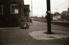 Harcerze w Toruniu (fot. 8) [Dokument ikonograficzny]