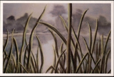 Agata Szmigrodzka "O poranku", Park Krajobrazowy w Bukowcu - poczt&oacute;wka [Dokument życia społecznego]