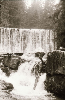 Harcerze - święto drużyny (fot. 5) [Dokument ikonograficzny]