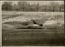 [Zima] (fot. 1) [Dokument ikonograficzny]