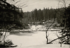 [Zima] (fot. 3) [Dokument ikonograficzny]